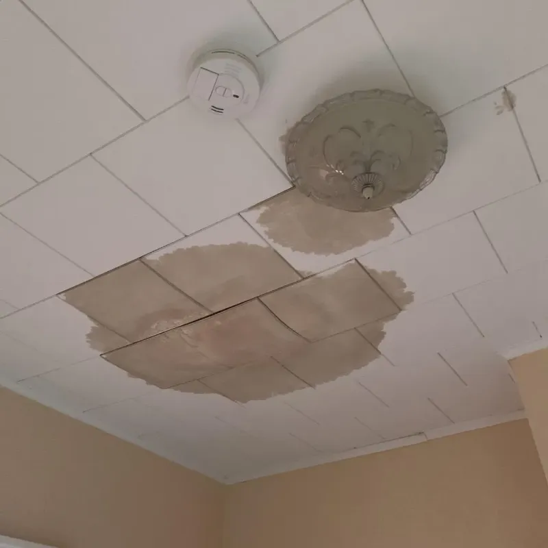 Ceiling Water Damage Repair in Valparaiso, FL