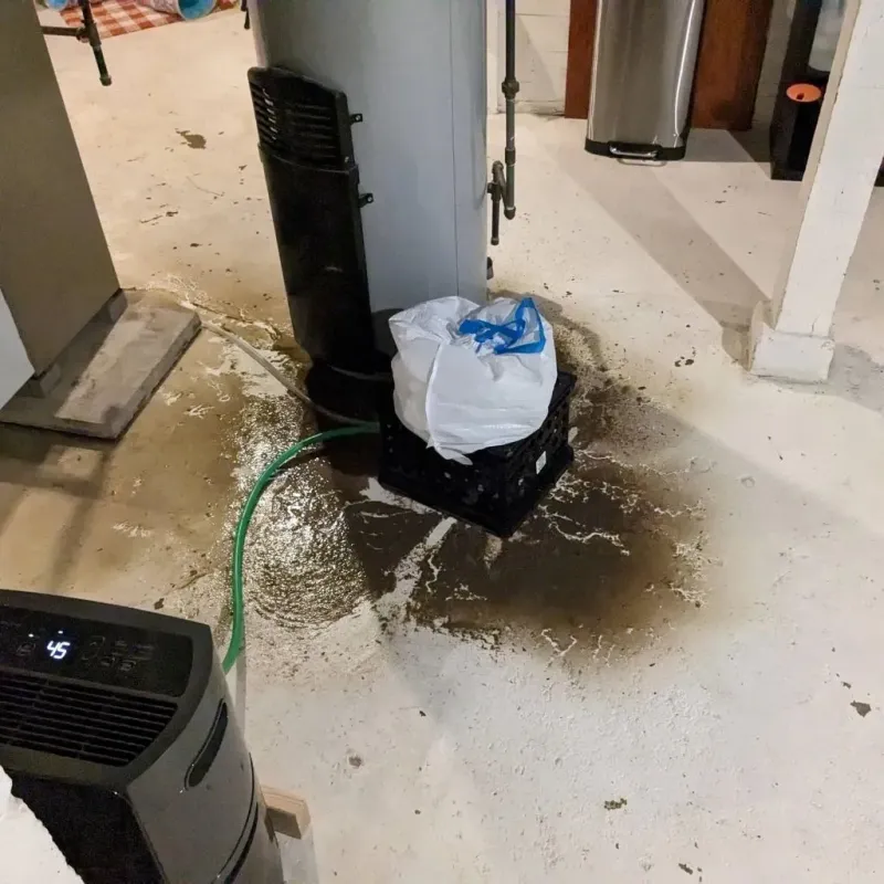 Sewage Backup Cleanup Service in Valparaiso, FL